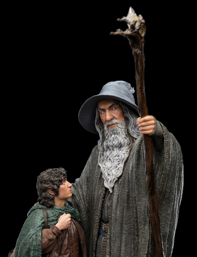 The Fellowship of Ring (LIMITED EDITION)