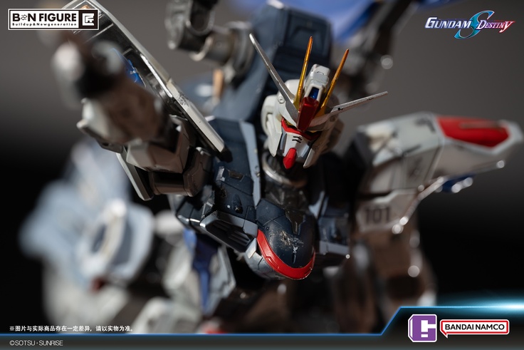 SEED Destiny FREEDOM GUNDAM vs DESTROY GUNDAM