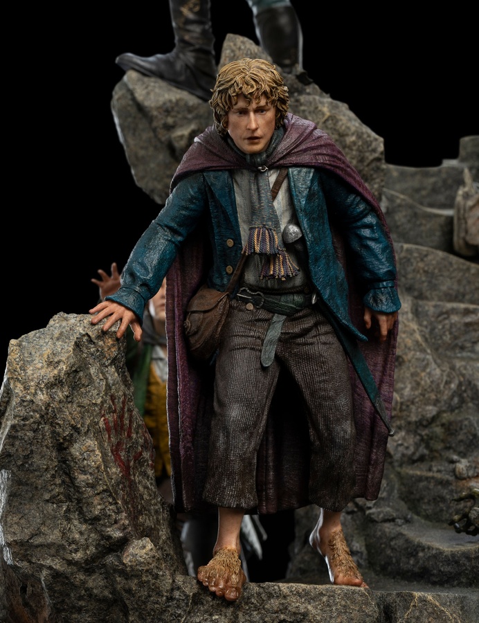 The Fellowship of Ring (LIMITED EDITION)