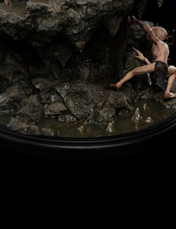 The Fellowship of Ring (LIMITED EDITION)