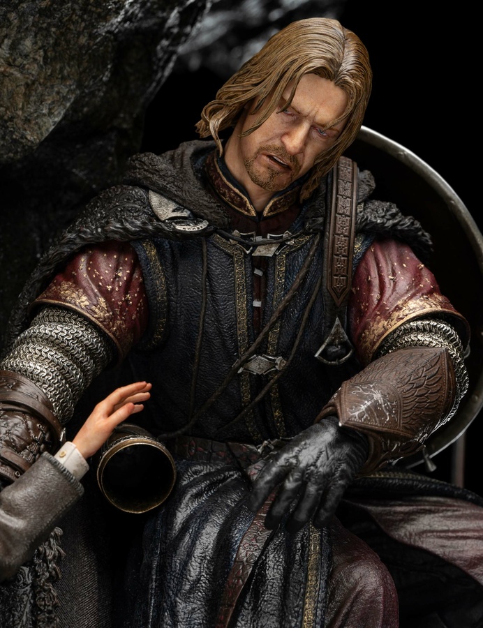 The Fellowship of Ring (LIMITED EDITION)