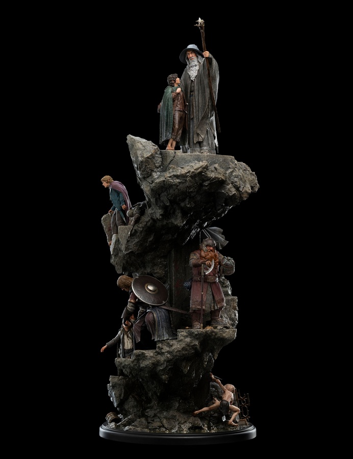 The Fellowship of Ring (LIMITED EDITION)