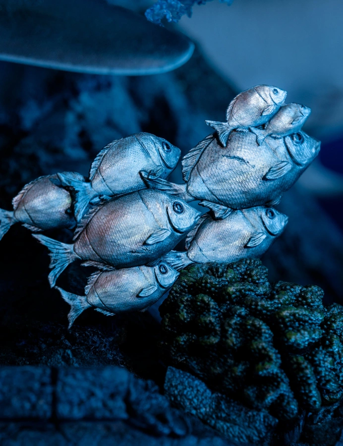 Lara Croft: Quest for Avalon