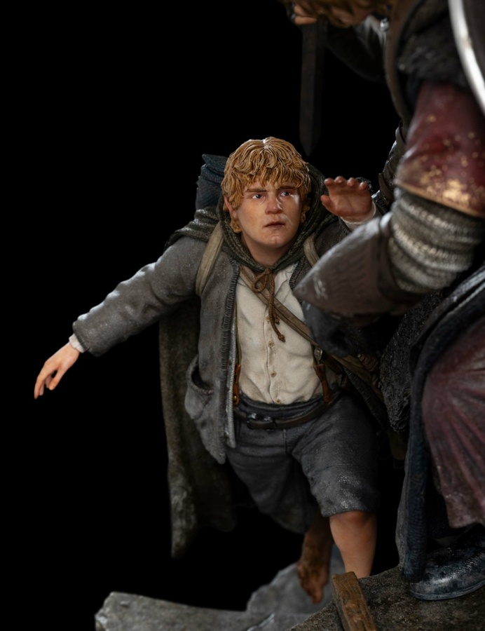 The Fellowship of Ring (LIMITED EDITION)