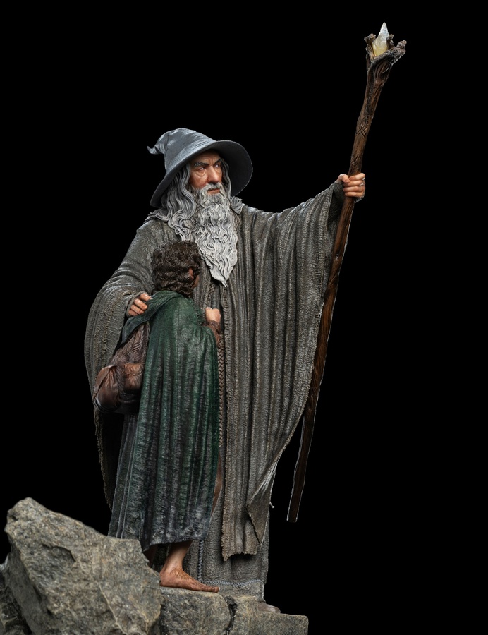 The Fellowship of Ring (LIMITED EDITION)