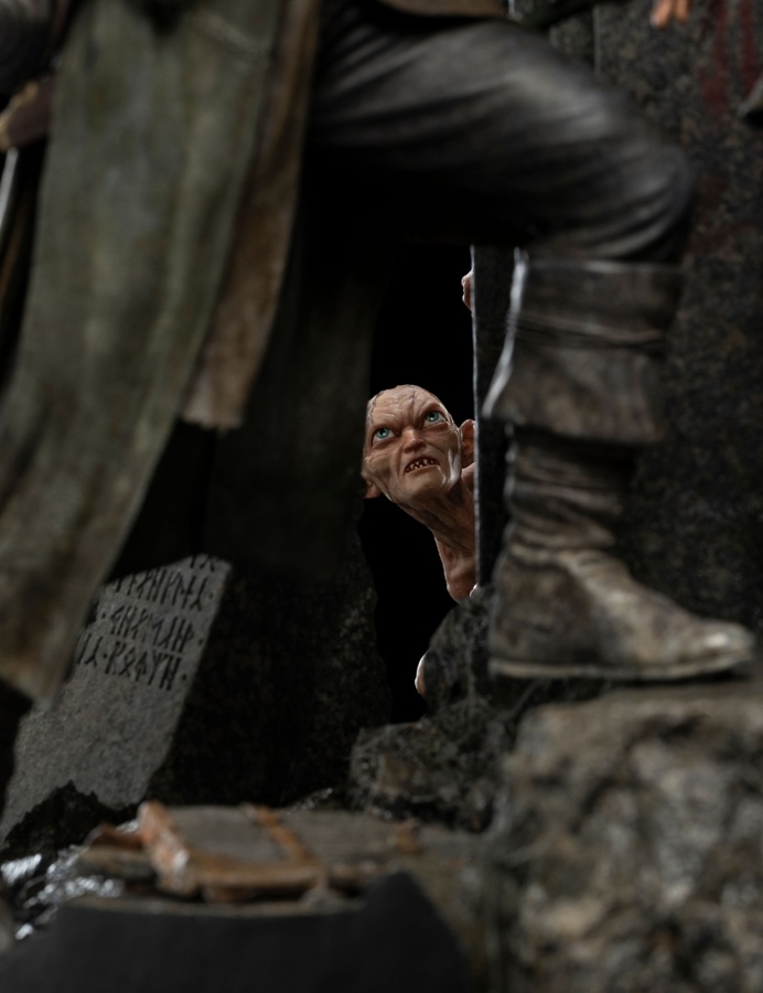 The Fellowship of Ring (LIMITED EDITION)