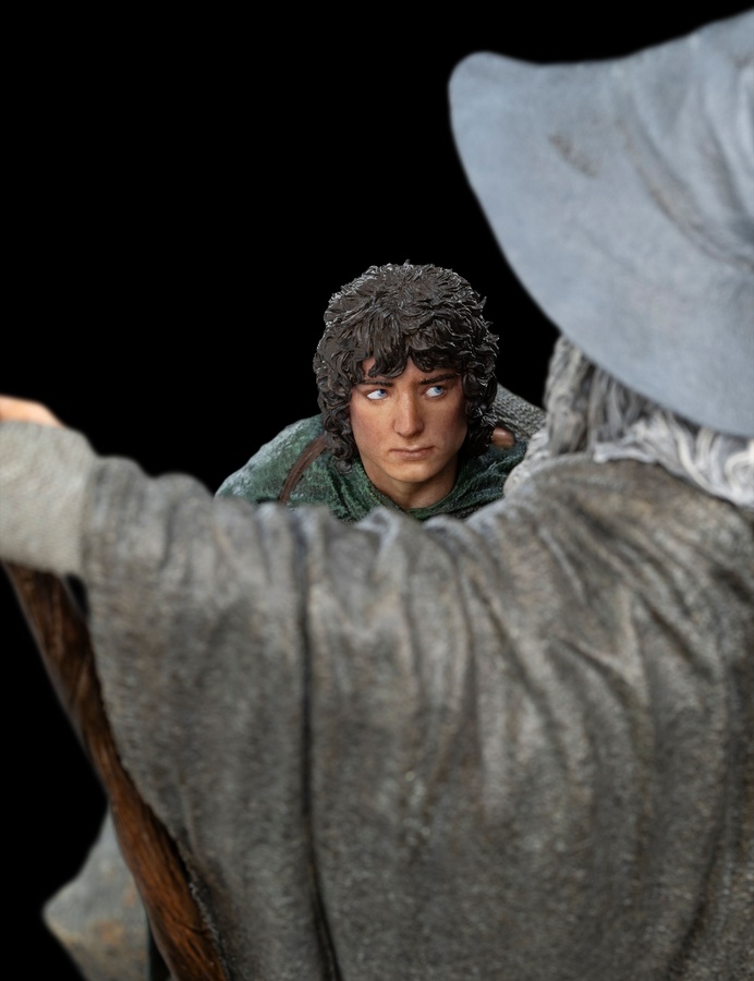 The Fellowship of Ring (LIMITED EDITION)